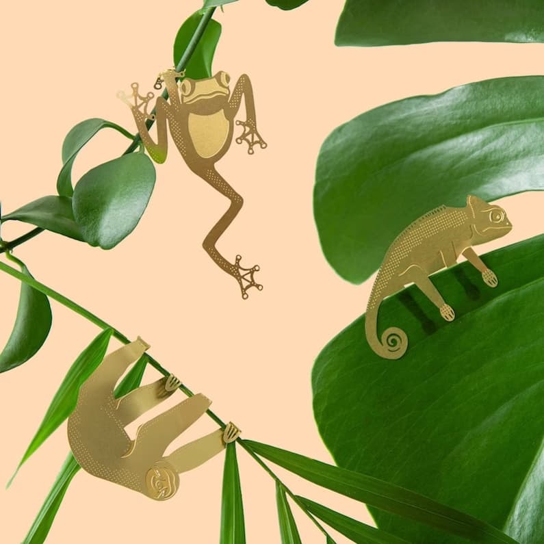 Bright green leaves of a houseplant have three small brass animal replicas hanging on the leaves: a sloth, a tree frog, and a chameleon. Photo courtesy AnotherStudio